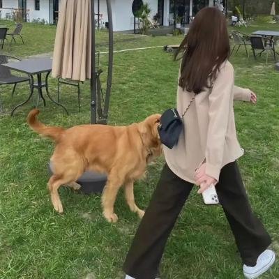 自由站